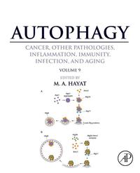 Cover image: Autophagy: Cancer, Other Pathologies, Inflammation, Immunity, Infection, and Aging: Volume 9: Human Diseases and Autophagosome 9780128029367