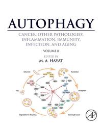 Omslagafbeelding: Autophagy: Cancer, Other Pathologies, Inflammation, Immunity, Infection, and Aging: Volume 8- Human Diseases 9780128029374