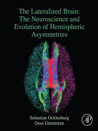 Cover image: The Lateralized Brain 9780128034521