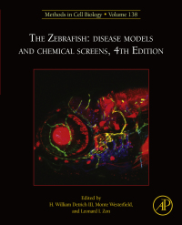Immagine di copertina: The Zebrafish: Disease Models and Chemical Screens 4th edition 9780128034736