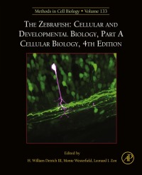 Titelbild: The Zebrafish: Cellular and Developmental Biology, Part A Cellular Biology 4th edition 9780128034750