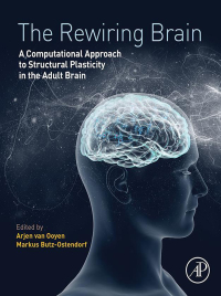Cover image: The Rewiring Brain 9780128037843