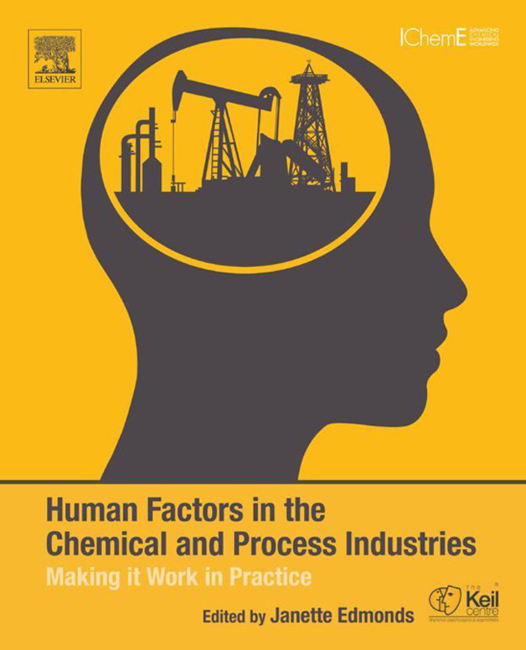 Human Factors in the Chemical and Process Industries Making it Work in Practice