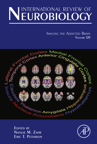 Imagen de portada: Imaging the Addicted Brain 9780128039144