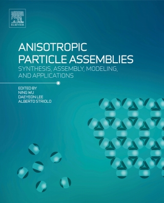 Titelbild: Anisotropic Particle Assemblies 9780128040690