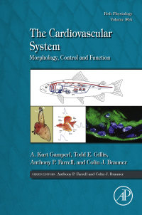 Cover image: The Cardiovascular System 9780128041635