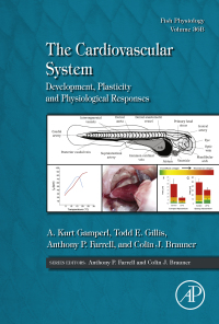 Cover image: The Cardiovascular System 9780128041642