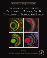 Immagine di copertina: The Zebrafish: Cellular and Developmental Biology, Part B Developmental Biology 4th edition 9780128050552