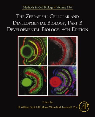 Cover image: The Zebrafish: Cellular and Developmental Biology, Part B Developmental Biology 4th edition 9780128050552