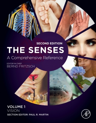 Imagen de portada: The Senses: A Comprehensive Reference 2nd edition 9780128054086