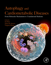 Imagen de portada: Autophagy and Cardiometabolic Diseases 9780128052532