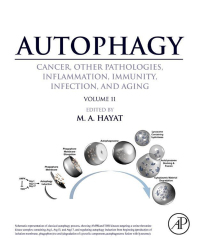 Titelbild: Autophagy: Cancer, Other Pathologies, Inflammation, Immunity, Infection, and Aging 9780128054208