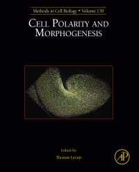 表紙画像: Cell Polarity and Morphogenesis 9780128093733