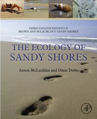 صورة الغلاف: The Ecology of Sandy Shores 3rd edition 9780128094679