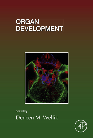 Cover image: Organ Development 9780128104897