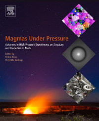 Omslagafbeelding: Magmas Under Pressure 9780128113011