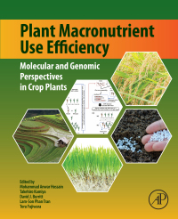 صورة الغلاف: Plant Macronutrient Use Efficiency 9780128113080