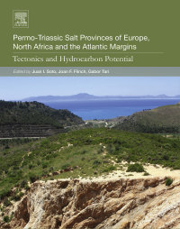 Titelbild: Permo-Triassic Salt Provinces of Europe, North Africa and the Atlantic Margins 9780128094174