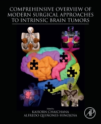 Titelbild: Comprehensive Overview of Modern Surgical Approaches to Intrinsic Brain Tumors 9780128117835