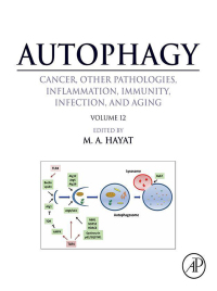 Imagen de portada: Autophagy: Cancer, Other Pathologies, Inflammation, Immunity, Infection, and Aging 9780128121467