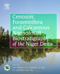 صورة الغلاف: Cenozoic Foraminifera and Calcareous Nannofossil Biostratigraphy of the Niger Delta 9780128121610