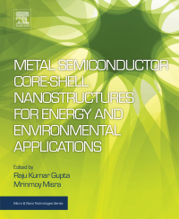 صورة الغلاف: Metal Semiconductor Core-shell Nanostructures for Energy and Environmental Applications 9780323449229