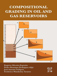 Imagen de portada: Compositional Grading in Oil and Gas Reservoirs 9780128124529