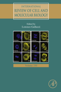 Cover image: International Review of Cell and Molecular Biology 9780128124673