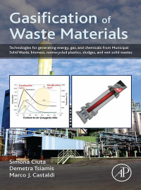 Immagine di copertina: Gasification of Waste Materials 9780128127162