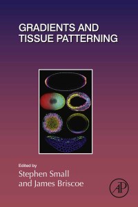 Cover image: Gradients and Tissue Patterning 1st edition 9780128127902
