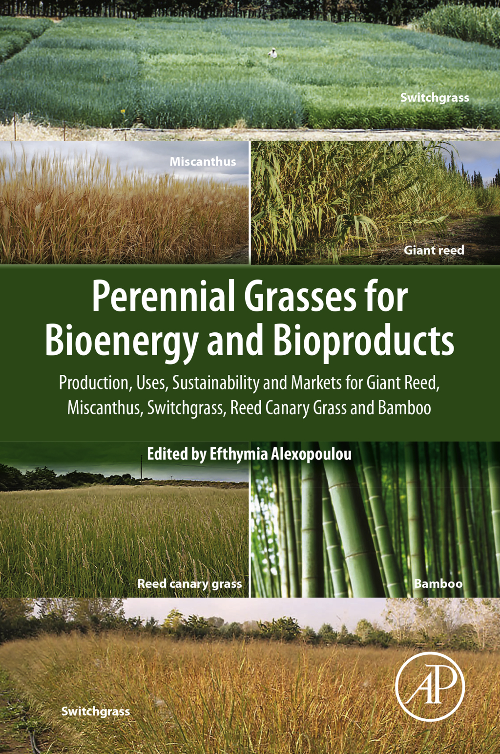 Perennial Grasses for Bioenergy and Bioproducts Production, Uses, Sustainability and Markets for Giant Reed, Miscanthus, Switchgrass, Reed Canary Grass and Bamboo