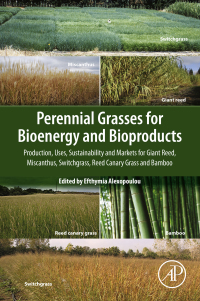 Omslagafbeelding: Perennial Grasses for Bioenergy and Bioproducts 9780128129005