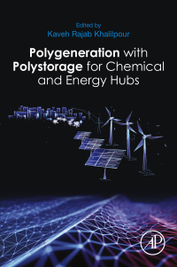 صورة الغلاف: Polygeneration with Polystorage 9780128133064