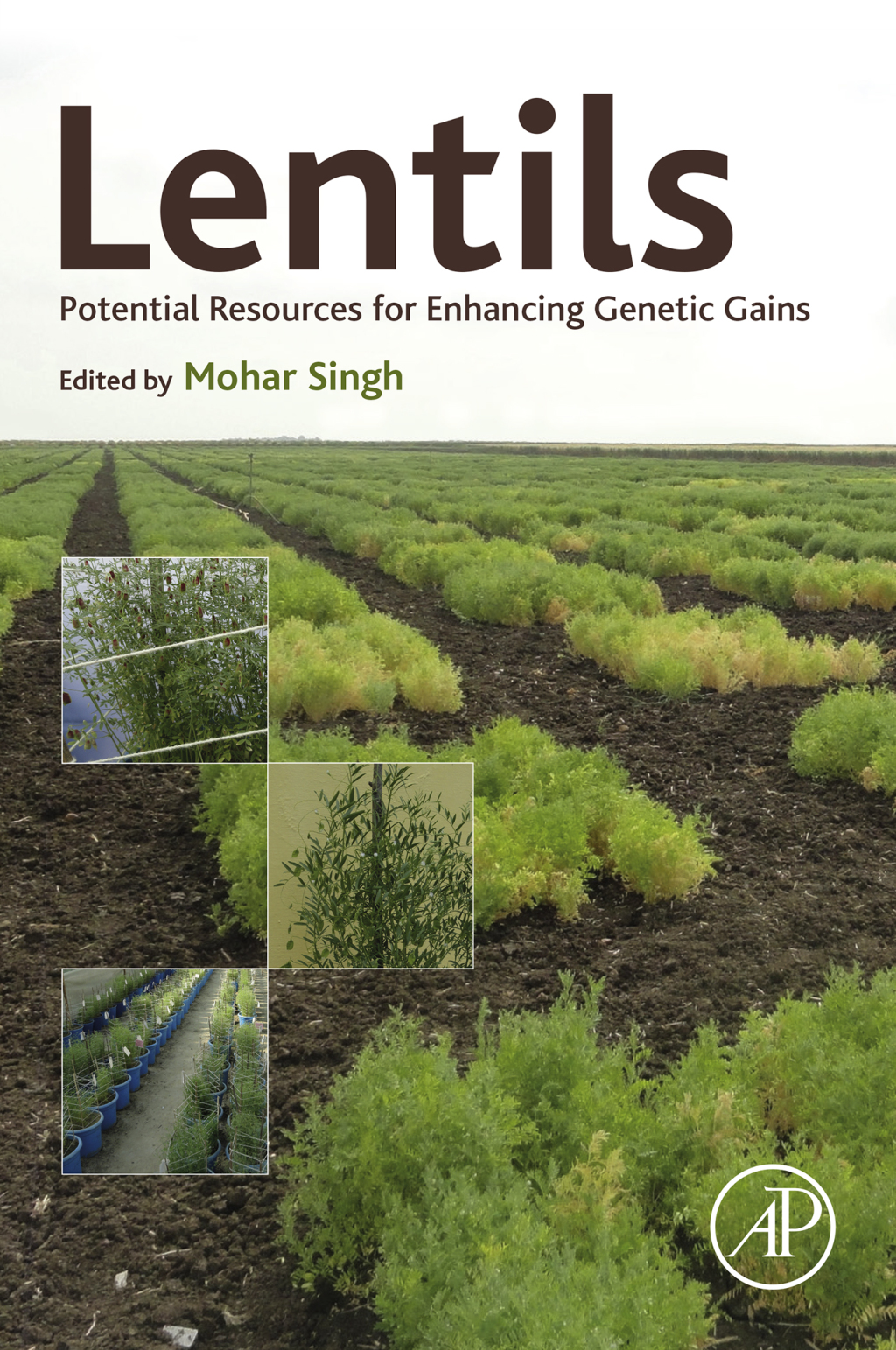 Lentils Potential Resources for Enhancing Genetic Gains
