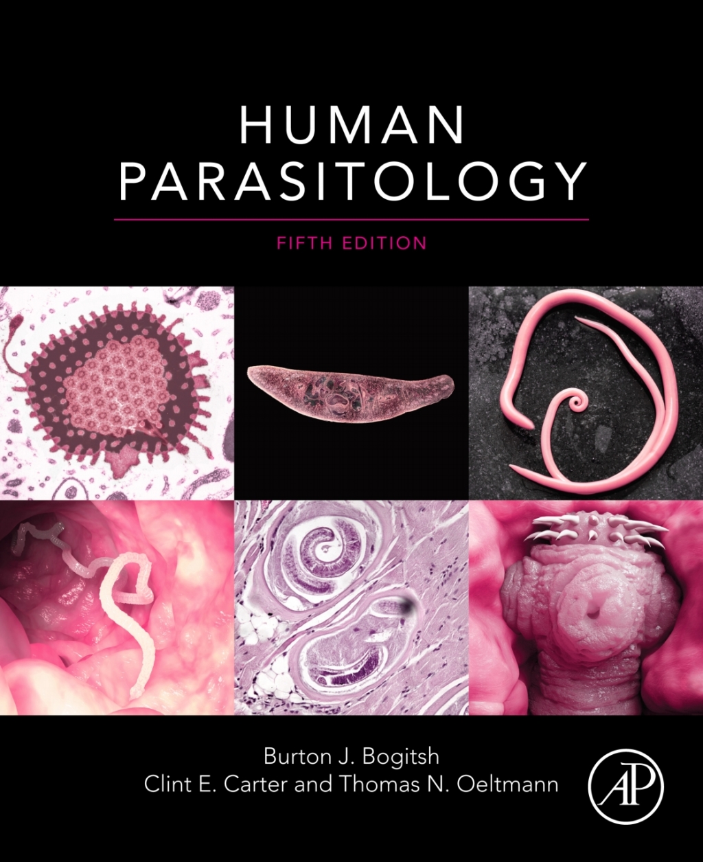 ISBN 9780128137123 product image for Human Parasitology - 5th Edition (eBook Rental) | upcitemdb.com