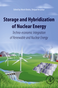 Imagen de portada: Storage and Hybridization of Nuclear Energy 9780128139752