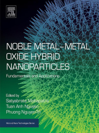 Titelbild: Noble Metal-Metal Oxide Hybrid Nanoparticles 9780128141342