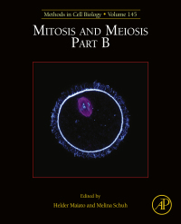 Cover image: Mitosis and Meiosis Part B 9780128141427