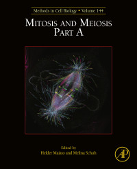 Cover image: Mitosis and Meiosis Part A 9780128141441