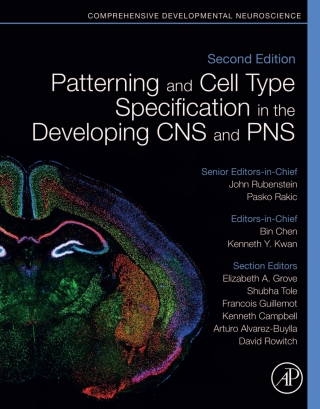 Imagen de portada: Patterning and Cell Type Specification in the Developing CNS and PNS 2nd edition 9780128144053