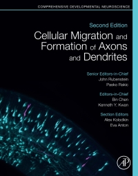 Imagen de portada: Cellular Migration and Formation of Axons and Dendrites 2nd edition 9780128144077