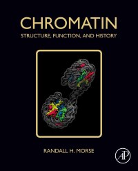 Cover image: Chromatin 1st edition 9780128148099