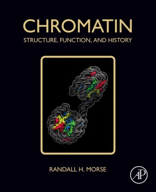 Imagen de portada: Chromatin 1st edition 9780128148099