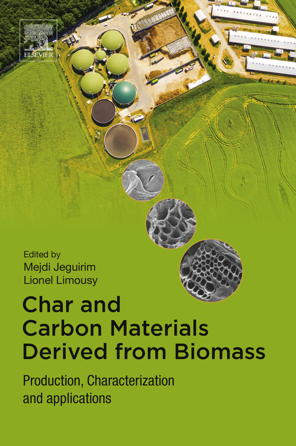 Char and Carbon Materials Derived from Biomass eBook