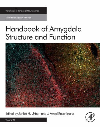 Cover image: Handbook of Amygdala Structure and Function 1st edition 9780128151341