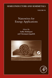Omslagafbeelding: Nanowires for Energy Applications 9780128151396
