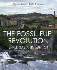 Immagine di copertina: The Fossil Fuel Revolution 9780128153970
