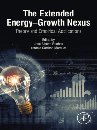 Imagen de portada: The Extended Energy–Growth Nexus 9780128157190