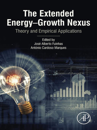 Imagen de portada: The Extended Energy–Growth Nexus 9780128157190