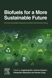 Imagen de portada: Biofuels for a More Sustainable Future 9780128155813